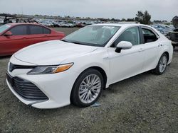 Salvage cars for sale at auction: 2020 Toyota Camry XLE