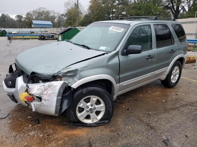 2007 Ford Escape XLT