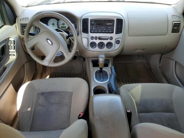 2006 Ford Escape XLT