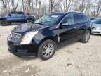 2011 Cadillac SRX Luxury Collection