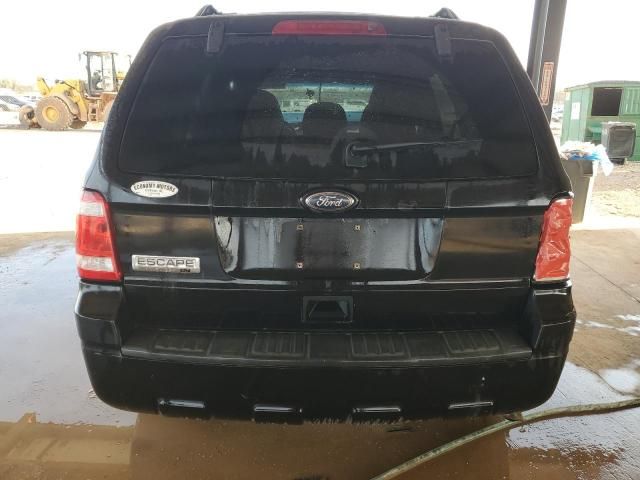 2010 Ford Escape XLT