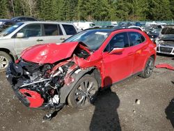 Salvage cars for sale from Copart Graham, WA: 2023 Lexus UX 250H Base