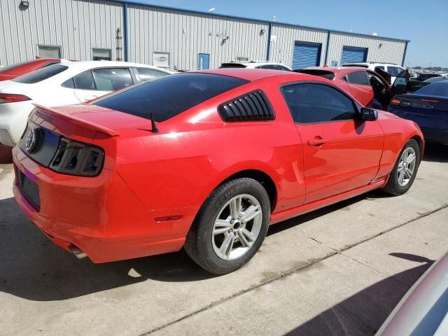 2013 Ford Mustang