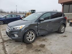 Ford Escape Vehiculos salvage en venta: 2019 Ford Escape SE