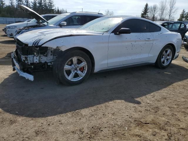 2021 Ford Mustang