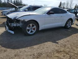 Ford Mustang salvage cars for sale: 2021 Ford Mustang