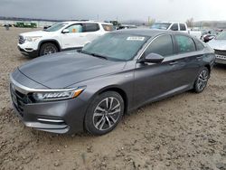 Honda Accord Hybrid salvage cars for sale: 2019 Honda Accord Hybrid