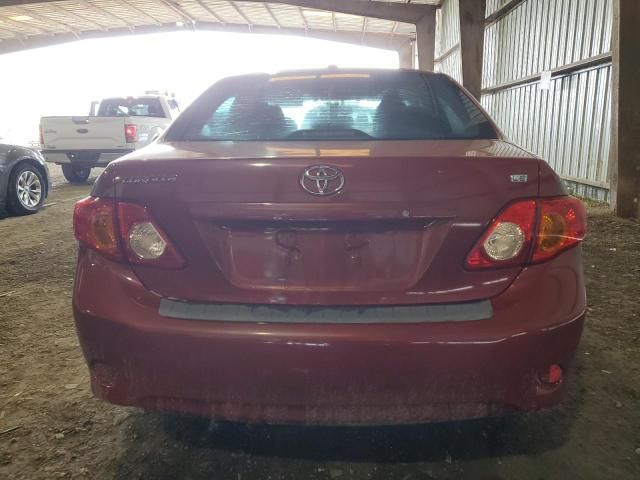 2009 Toyota Corolla Base