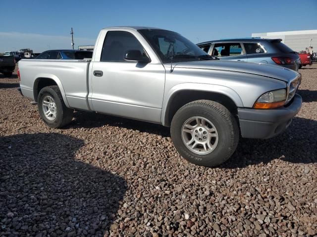 2004 Dodge Dakota SXT