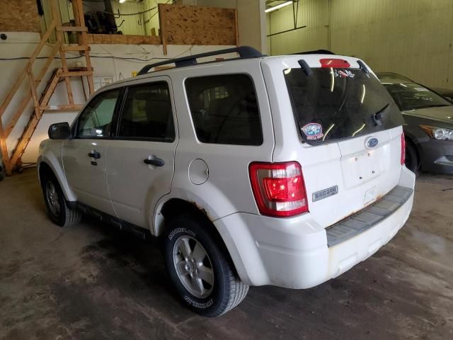 2010 Ford Escape XLT