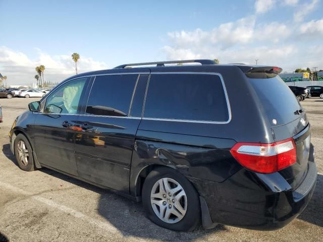 2005 Honda Odyssey EXL