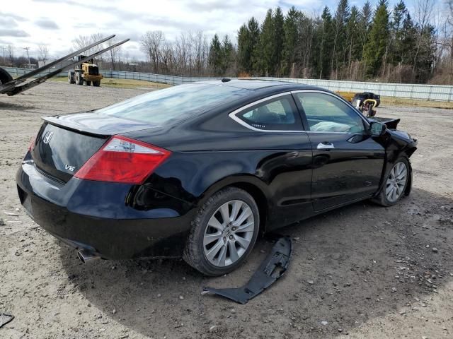 2010 Honda Accord EXL