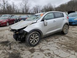 Salvage cars for sale at Ellwood City, PA auction: 2016 KIA Sportage LX