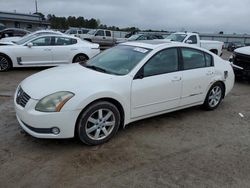 Nissan Maxima SE salvage cars for sale: 2005 Nissan Maxima SE