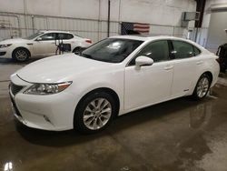 Salvage cars for sale at Avon, MN auction: 2014 Lexus ES 300H