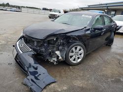 Salvage cars for sale from Copart Memphis, TN: 2008 Lexus ES 350