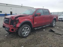 Salvage cars for sale from Copart Farr West, UT: 2013 Ford F150 Supercrew