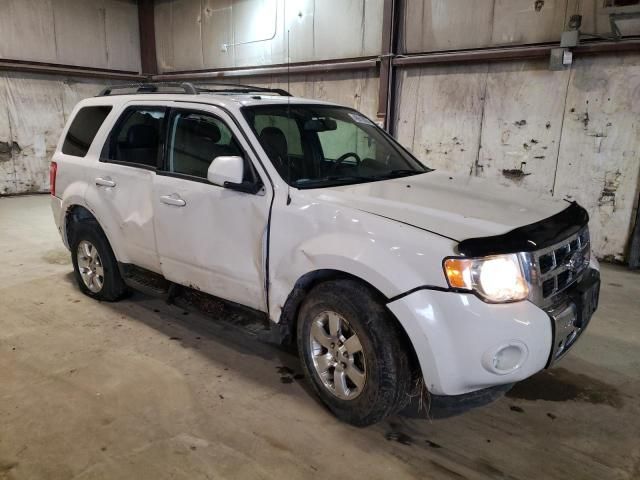 2011 Ford Escape Limited