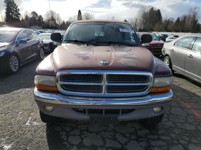 2000 Dodge Dakota