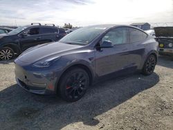 Salvage cars for sale from Copart Antelope, CA: 2023 Tesla Model Y