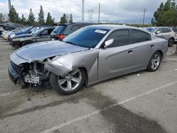 Dodge Charger salvage cars for sale: 2016 Dodge Charger SXT