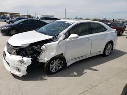 Lexus HS 250H Vehiculos salvage en venta: 2010 Lexus HS 250H