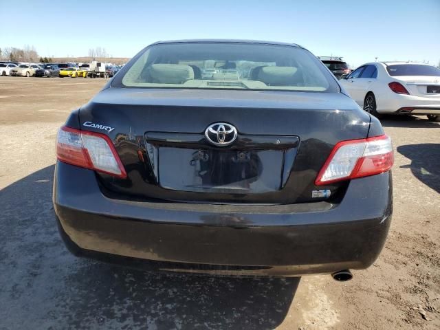 2009 Toyota Camry Hybrid