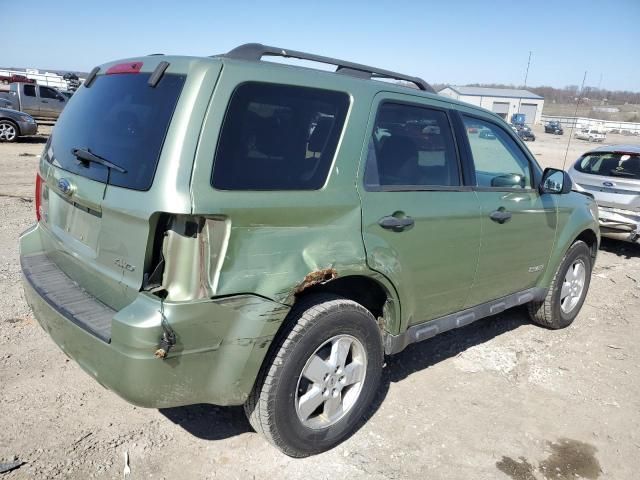 2008 Ford Escape XLT