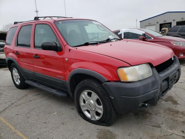 2001 Ford Escape XLT