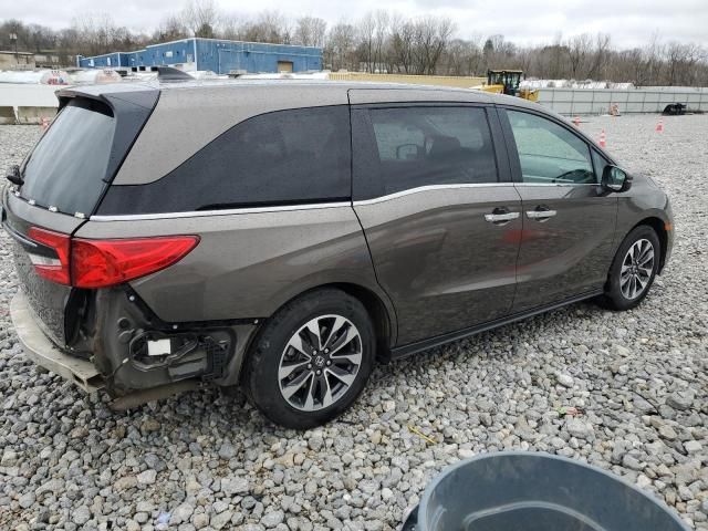 2021 Honda Odyssey EXL