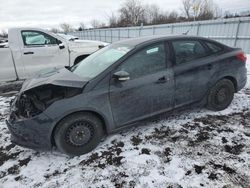 Ford Focus SE salvage cars for sale: 2013 Ford Focus SE