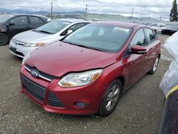 Ford salvage cars for sale: 2013 Ford Focus SE