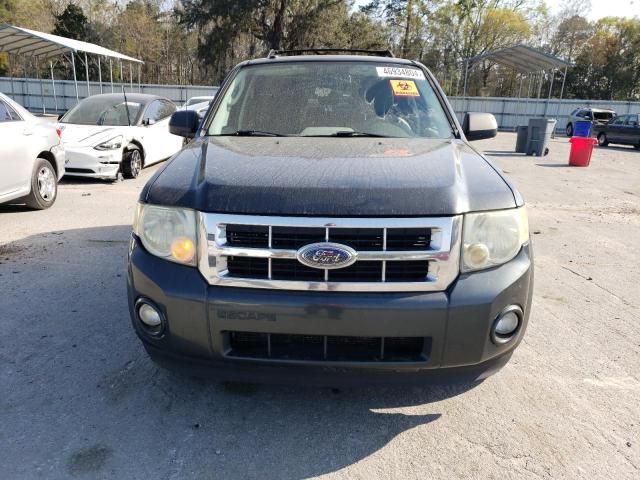 2009 Ford Escape XLT