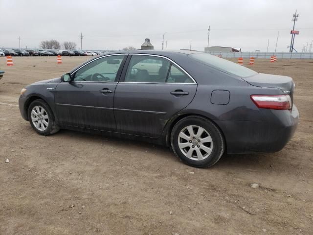 2009 Toyota Camry Hybrid