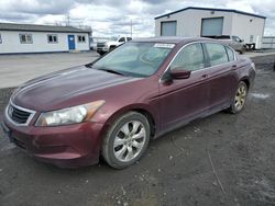 Honda Accord Vehiculos salvage en venta: 2008 Honda Accord EXL