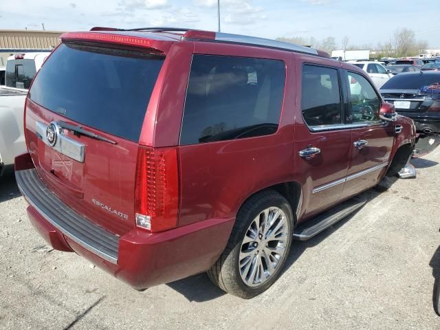 2010 Cadillac Escalade