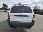 2007 Ford Escape XLT