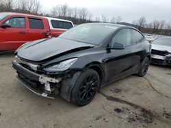 Salvage cars for sale from Copart Marlboro, NY: 2022 Tesla Model Y