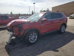 Salvage cars for sale at Gaston, SC auction: 2023 Honda CR-V EXL