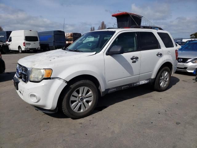 2011 Ford Escape XLT