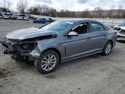 2019 Hyundai Sonata SE for sale in Grantville, PA