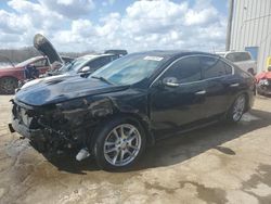 Salvage cars for sale at Memphis, TN auction: 2010 Nissan Maxima S