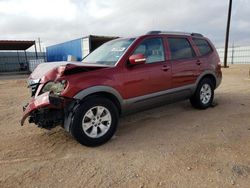 Vehiculos salvage en venta de Copart Andrews, TX: 2009 KIA Borrego LX