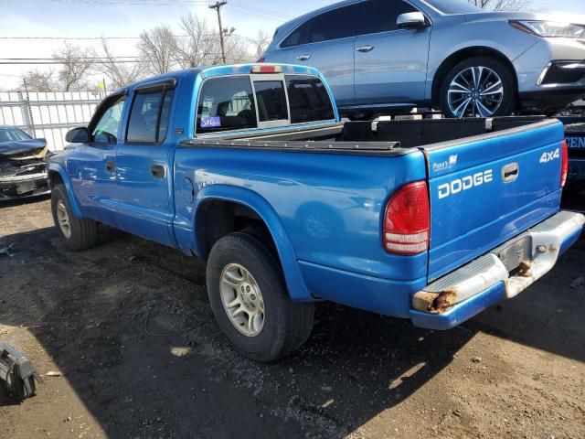 2001 Dodge Dakota Quattro