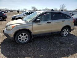 Salvage cars for sale from Copart London, ON: 2008 Honda CR-V EX