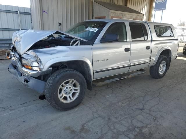 2001 Dodge Dakota Quattro