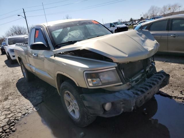 2011 Dodge Dakota SLT