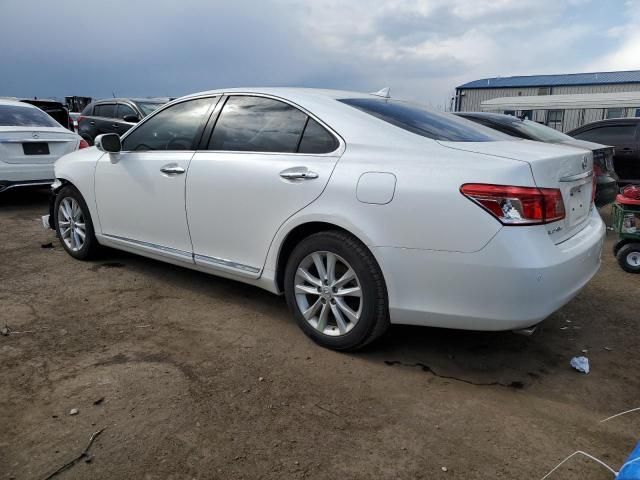 2010 Lexus ES 350