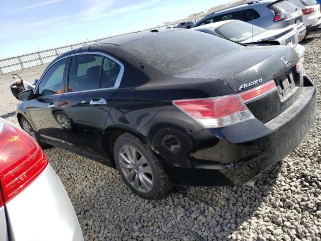 2011 Honda Accord EXL