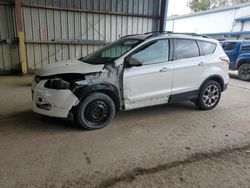 Ford Escape SEL Vehiculos salvage en venta: 2013 Ford Escape SEL